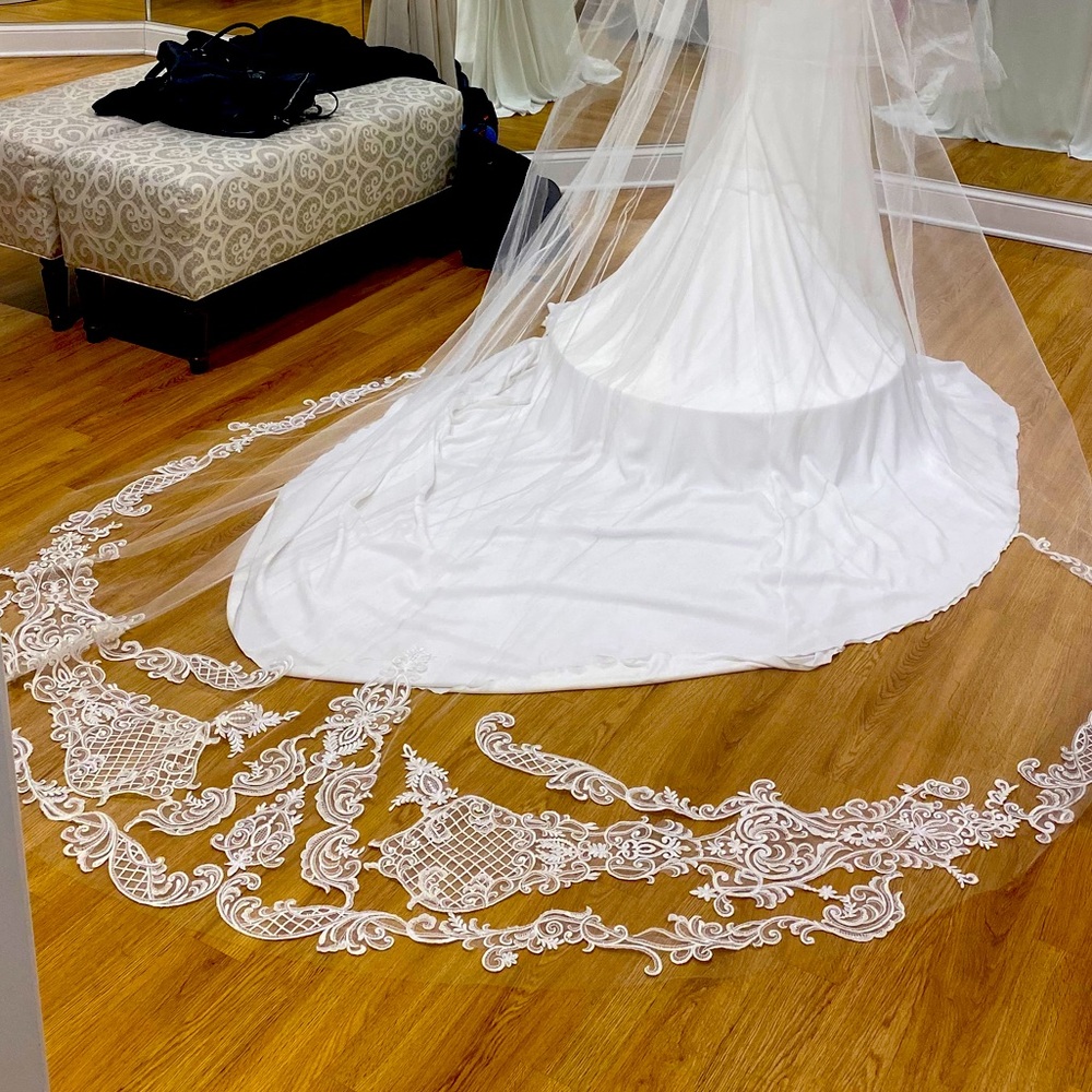 Stunning Catedral lace veil
